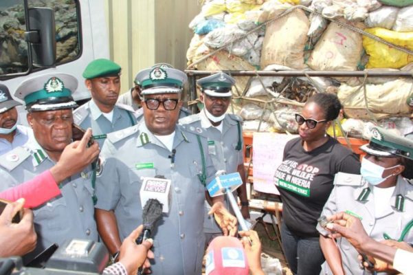 Kaduna: Customs Seizes Dried Donkey Bones, Others Worth N3billion ...